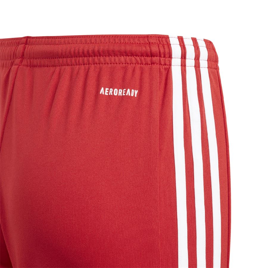 Short Squadra 21 junior Adidas | GN5761X